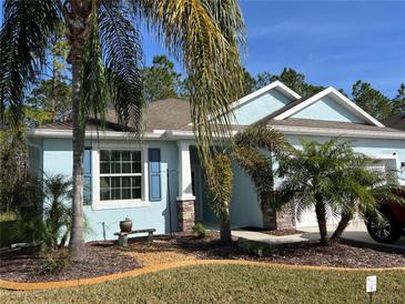 Charming one-story home with light blue exterior, landscaping, and palm trees at 11036 Paradise Point Way, New Port Richey, FL 34654