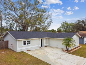 Newly renovated single story home with a large driveway and landscaped lawn at 4920 Steel Dust Ln, Lutz, FL 33559