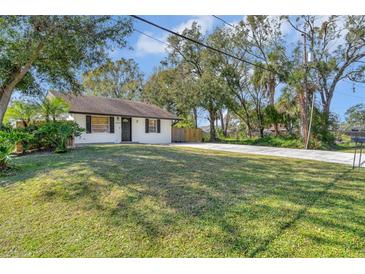 Charming single story home with a well-manicured lawn and driveway at 10228 Oslin St, Tampa, FL 33615