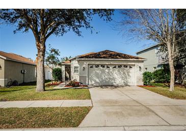 Single-story house with attached garage, manicured lawn, and walkway at 9607 Maxson Dr, Land O Lakes, FL 34638