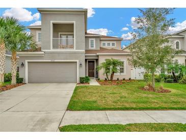 Two-story house with gray siding, a three-car garage, and a landscaped lawn at 29762 Chapel Chase Dr, Wesley Chapel, FL 33545