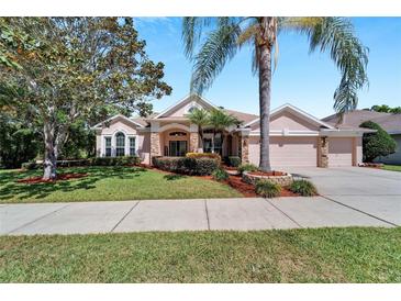 Beautiful one-story home with mature landscaping and a large driveway at 2512 Centennial Falcon Dr, Valrico, FL 33596