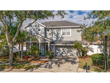 Two-story house with gray siding, landscaping, and a two-car garage at 18209 Tivoli Ln, Lutz, FL 33558