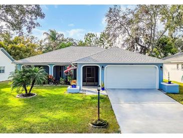 Single-story home with light blue exterior, attached garage, and well-manicured lawn at 3584 Oak Lake Dr, Palm Harbor, FL 34684