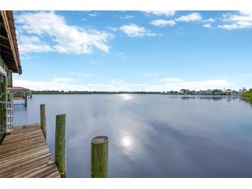 Wooden dock extending over calm water with distant view at 8839 W Millpoint Rd, Riverview, FL 33578