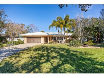 Single-story home with a well-maintained lawn and palm trees at 1230 Nelson St, Dunedin, FL 34698