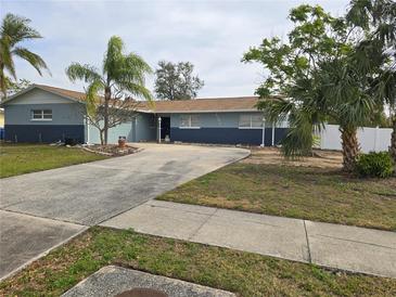 Ranch style home with newly painted exterior and palm trees at 4701 Lodestone Dr, Tampa, FL 33615