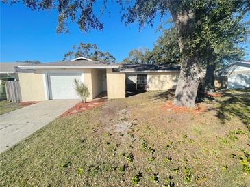 Single-story house with a garage and mature landscaping at 5205 Landsman Ave, Tampa, FL 33625