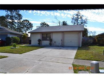 One-story house with attached garage and landscaped lawn at 10611 Fairfield Village Dr, Tampa, FL 33624