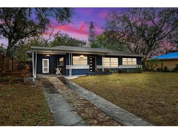 Updated home exterior boasts a stylish blue facade, and a well-manicured lawn at 218 W Seneca Ave, Tampa, FL 33612