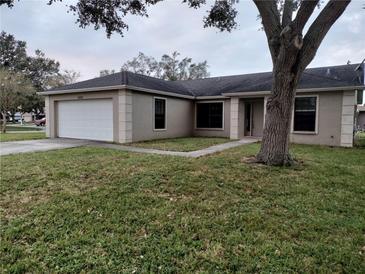 One-story house with attached garage and well-maintained lawn at 6802 Seaview Way, Tampa, FL 33615