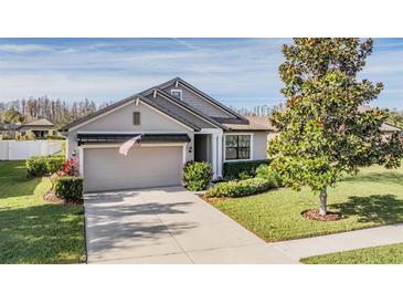 One-story home with gray siding, two-car garage, and landscaped lawn at 19724 Post Island Loop, Land O Lakes, FL 34638