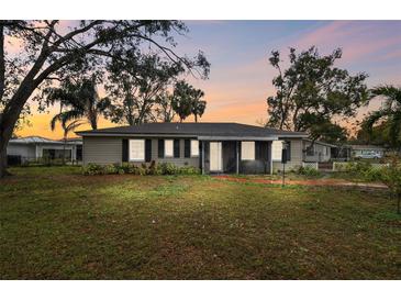 Charming ranch home with a large fenced yard at 3915 W Pearl Ave, Tampa, FL 33611