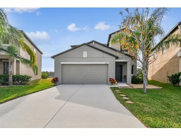 Two-story house with gray siding, two-car garage, and landscaped lawn at 11127 Hudson Hills Ln, Riverview, FL 33579