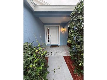 Inviting front entrance with a white door and patterned tile walkway at 8434 Hawbuck St, Trinity, FL 34655