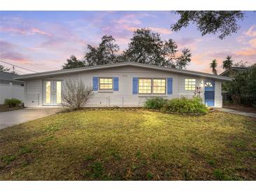 Charming single story home with a well-manicured lawn and updated facade at 8703 Driftwood Dr, Tampa, FL 33615