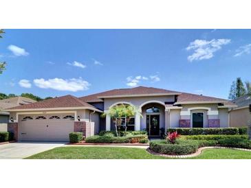 Charming single-story home featuring a well-manicured lawn, mature landscaping, and a two-car garage at 29120 Rivergate Run, Wesley Chapel, FL 33543