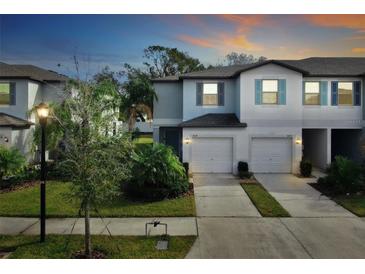 Two-story townhome with two-car garage and landscaped front yard at 3818 Cat Mint St, Tampa, FL 33619