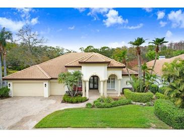 Beautiful home with tile roof, manicured lawn, and two-car garage at 2867 Grey Oaks Blvd, Tarpon Springs, FL 34688