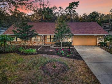 Single-story house with stone facade, attached garage, and landscaped yard at 12708 N 52Nd St, Temple Terrace, FL 33617