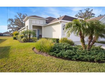 Well-maintained house with a landscaped yard and palm trees at 13607 Circa Crossing Dr, Lithia, FL 33547