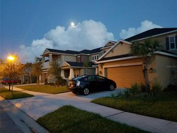 Two-story house with a two-car garage and manicured lawn at dusk at 8836 Citrus Palm Dr, Tampa, FL 33626