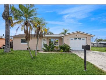 Cute ranch home with a large yard, palm trees, and a one car garage at 3034 Domino Dr, Holiday, FL 34691