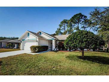 Charming single-story home with well-maintained lawn and mature landscaping at 7065 Sparkling Creek Ct, Spring Hill, FL 34606