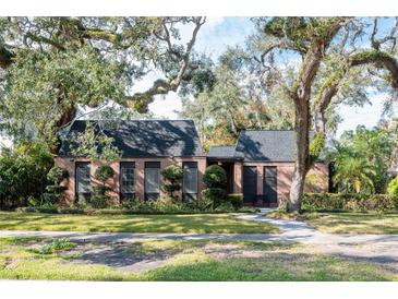 Brick home with black roof, mature landscaping, and large trees at 807 Grove Park Ave, Tampa, FL 33609