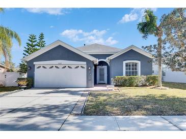 Gray house with white garage door, landscaping, and a walkway at 10322 Goldenbrook Way, Tampa, FL 33647