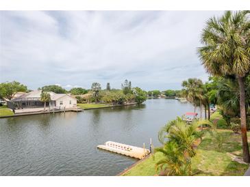 Peaceful canal view with private dock and lush tropical landscaping at 6325 Newtown Cir # 25B2, Tampa, FL 33615
