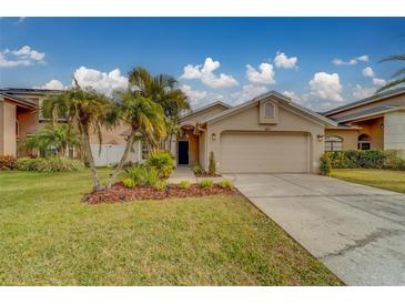 Tan house with a two-car garage and palm trees in the front yard at 11607 Branch Mooring Dr, Tampa, FL 33635