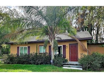 Cute ranch home with a red door and palm trees at 21732 Bell Lake Rd, Land O Lakes, FL 34639