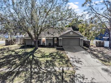 Single-story house with a grey exterior, driveway, and mature tree in the front yard at 13215 Parkhurst Ct, Riverview, FL 33569