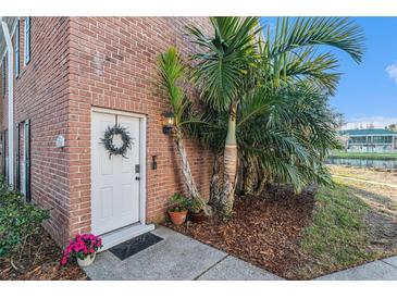 Inviting front door entrance with brick facade and lush landscaping at 13716 Orange Sunset Dr, Tampa, FL 33618