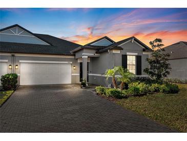 Gray house with white garage door and landscaping at 9846 Red Bay Loop, Land O Lakes, FL 34637