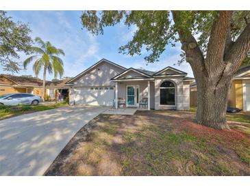 One-story house with a two-car garage and mature tree in front at 305 Crayford Pl, Valrico, FL 33594