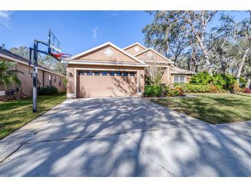 Two-story house with a two-car garage and basketball court at 6003 Tealside Ct, Lithia, FL 33547