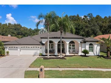 White house with dark brown roof, 3-car garage, and lush landscaping at 1257 Kings Way Ln, Tarpon Springs, FL 34688