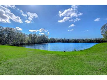 Scenic view of a serene lake surrounded by lush greenery and a clear blue sky with scattered clouds at 13908 Orange Dale Pl, Tampa, FL 33625