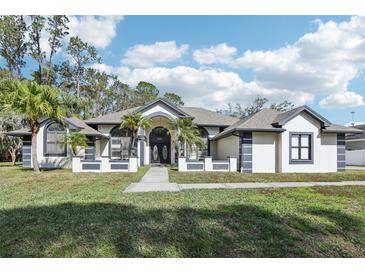 Two-story house with grey accents, lush lawn, and palm trees at 1010 Emerald Creek Dr, Valrico, FL 33596