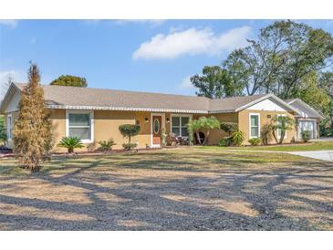 Single-story home with landscaped yard, driveway, and attached garage at 3906 Bloomingdale Ave, Valrico, FL 33596