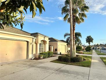 Well-maintained house with a two-car garage and palm trees at 286 Royal Palm Way, Spring Hill, FL 34608