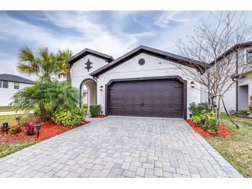 A charming house with a brown garage door and landscaped yard at 4761 San Martino Dr, Wesley Chapel, FL 33543