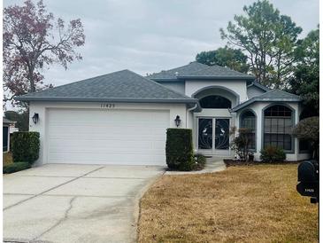 Charming single-story home featuring a two-car garage and unique front door design with decorative details at 11425 Billingham Blvd, Spring Hill, FL 34609