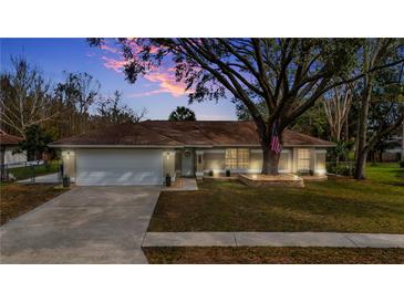 Charming single-story home with a well-manicured lawn, a large shade tree, and an attached two-car garage at 24121 Landing Dr, Lutz, FL 33559