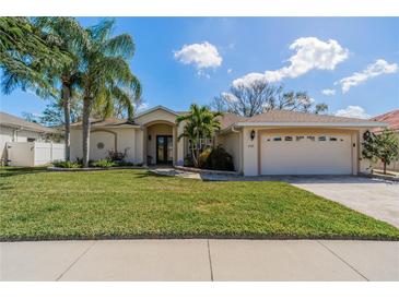 Charming single-story home featuring a well-manicured lawn, palm trees, and a two-car garage at 1509 Ventana Dr, Sun City Center, FL 33573