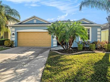 Charming single-story home featuring a well-manicured lawn, a tan garage door, and vibrant tropical landscaping at 13192 Royal Pines Ave, Riverview, FL 33579