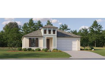 One-story home with light blue siding, gray roof, and landscaping at 18435 Serene Lake Loop, Lutz, FL 33548