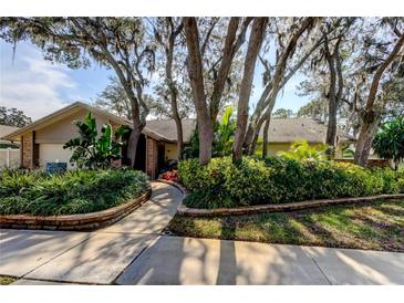 Landscaped walkway leads to a charming home with lush greenery and curb appeal at 3089 Enisglen Dr, Palm Harbor, FL 34683